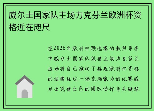 威尔士国家队主场力克芬兰欧洲杯资格近在咫尺
